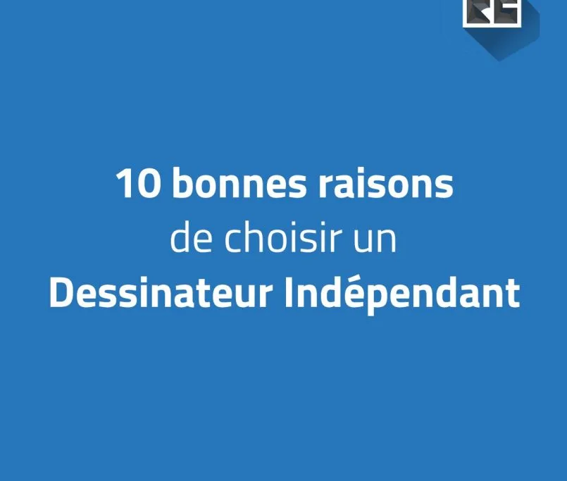Pourquoi choisir un dessinateur indépendant ?