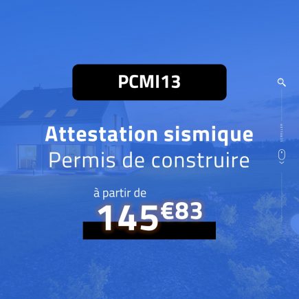 PCMI13